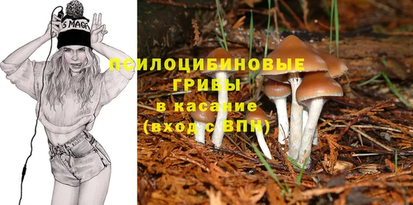 ешки Армянск
