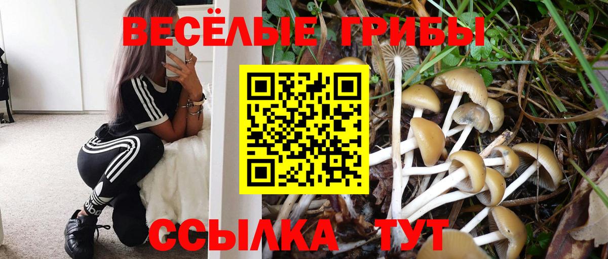 Галлюциногенные грибы Psilocybine cubensis Лыткарино