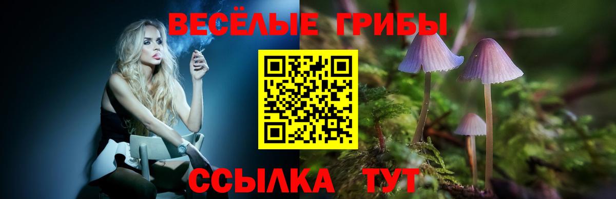 Галлюциногенные грибы Psilocybine cubensis  Псилоцибиновые грибы мухоморы  Лыткарино  Вход с VPN 